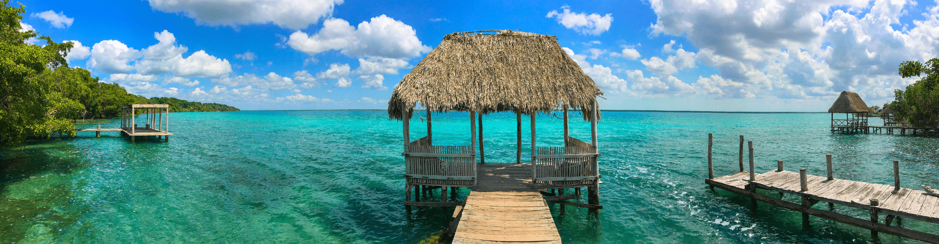 ART TRAIN MAYA QUINTANA ROO Coatimmo