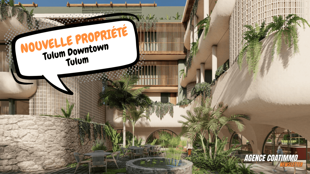 Newsletter octobre 2024 Coatimmo