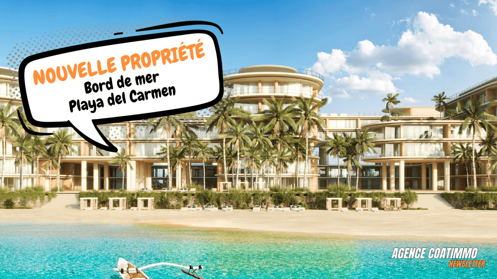 Newsletter octobre 2024 Coatimmo